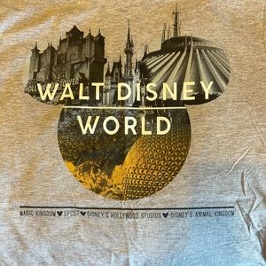 Large Unisex Disney World parks T-shirt. Gray.